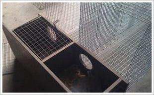 安平大偉網業 安平水貂籠子 絲網制品金屬絲網廠_五金、工具_世界工廠網