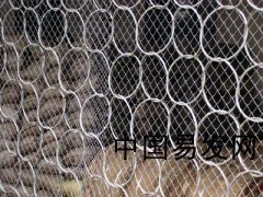 廠家直銷邊坡防護網、環形網_供應產品_安平縣川森金屬絲網制品_護欄網,防護網,復合立柱_中國易發網